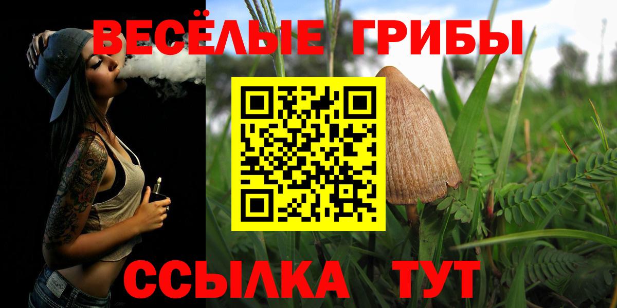 Галлюциногенные грибы ЛСД Клинцы