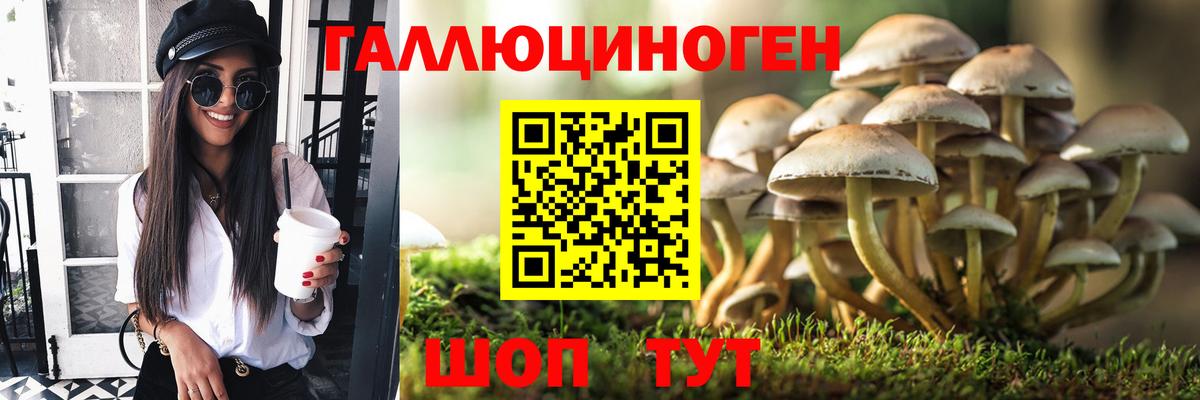 Галлюциногенные грибы мицелий  Галлюциногенные грибы мухоморы  Клинцы  Вход с VPN 